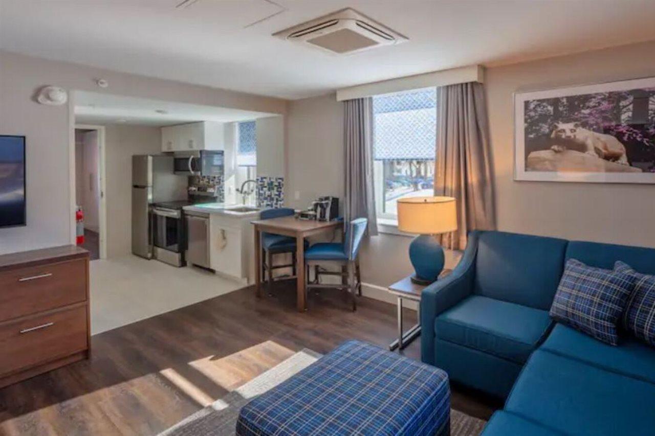 Scholar State College, Tapestry Collection By Hilton 4* State College